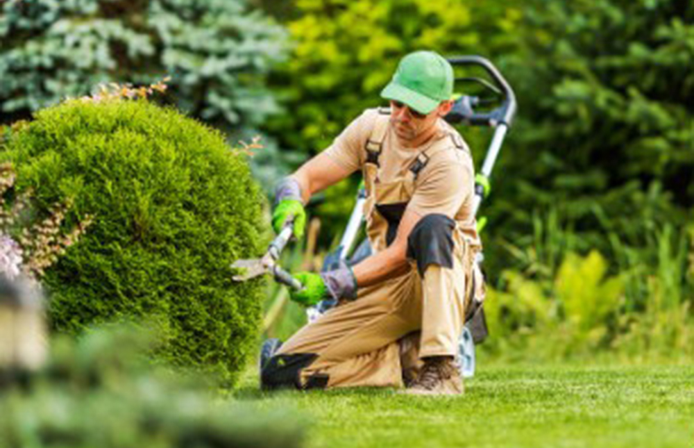 Gartenhilfe für Senioren